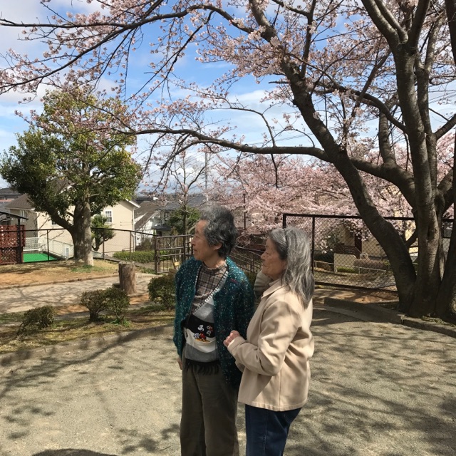 イベントの様子　お花見